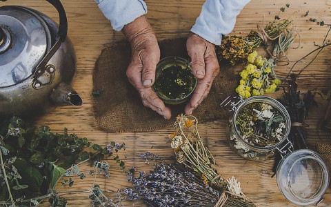 Produttori di erbe medicinali Produttori di erbe medicinali