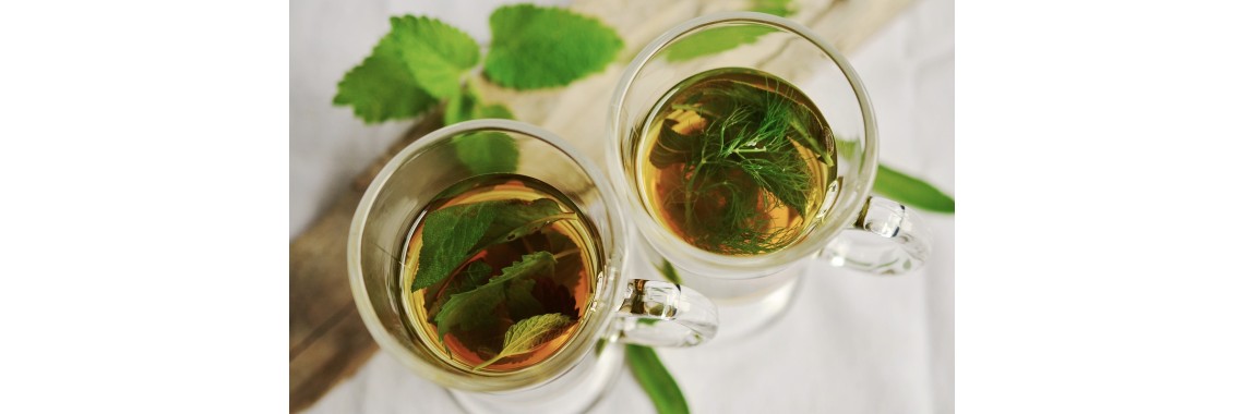 Le migliori tisane alle erbe, infusi e decotti naturali: ordinale comodamente online