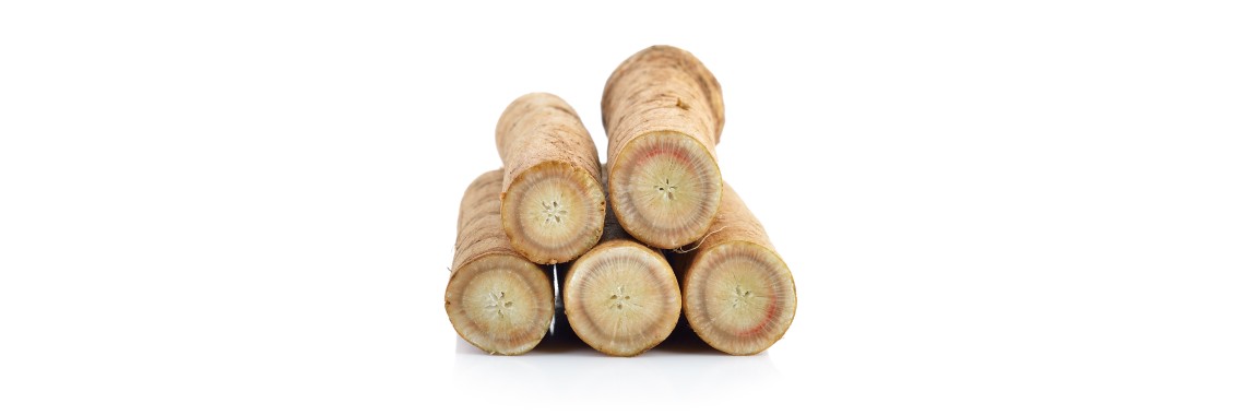 Radice di bardana: Il superalimento disintossicante per eccellenza che dovete conoscere