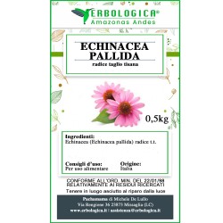 Echinacea palida radice tisana Echinacea palida radice tisana