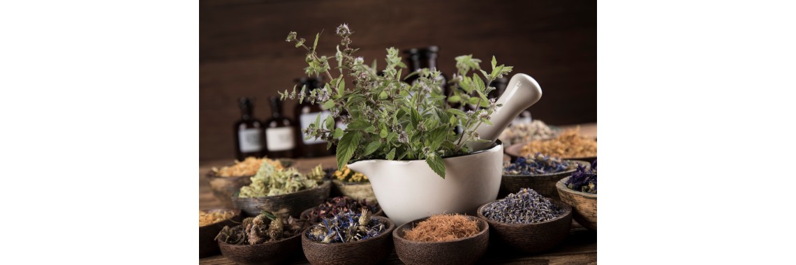 Erbe officinali rafforzano sistema immunitario