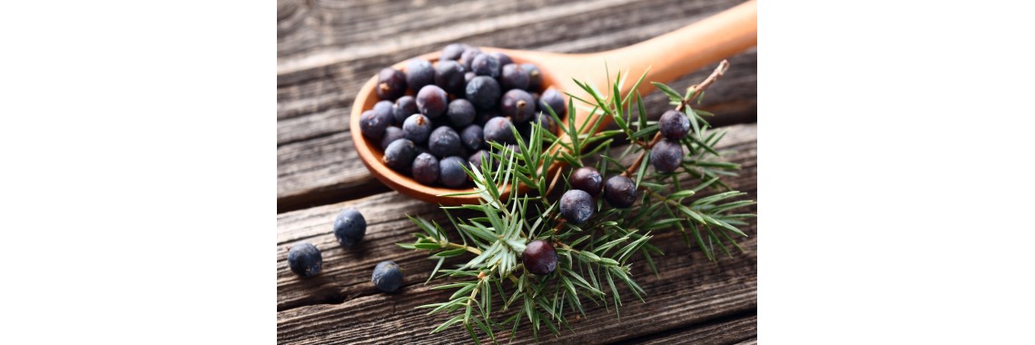 Le Bacche di Ginepro: Un Ingrediente Segreto per Esaltare i tuoi Piatti