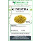 Ginestra fiori taglio tisana Ginestra fiori taglio tisana