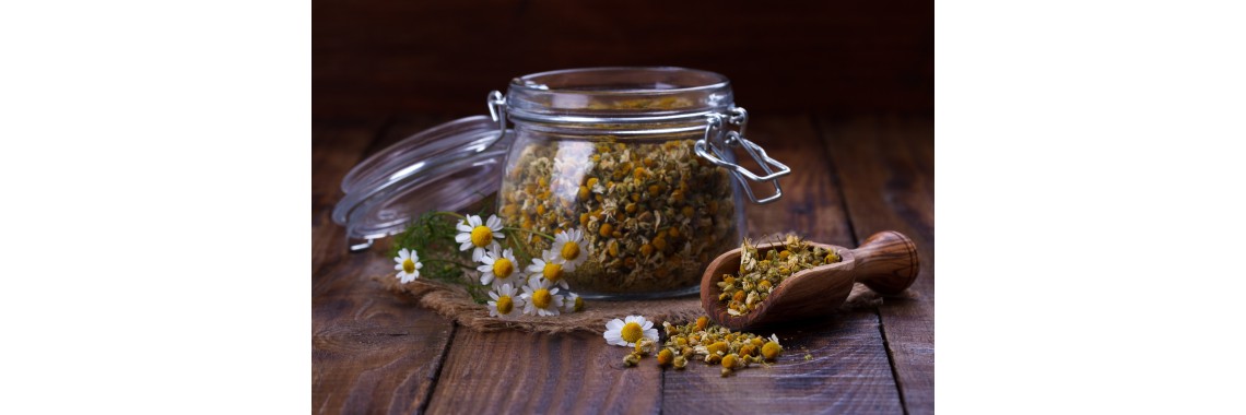 Infuso di camomilla