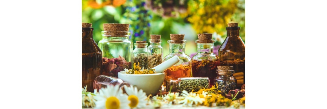 Piante medicinali per il benessere della donna