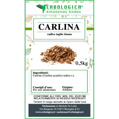 Carlina radice taglio tisana Carlina radice taglio tisana