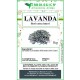 Lavanda fiori interi Lavanda fiori interi