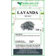 Lavanda fiori interi Lavanda fiori interi