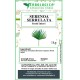Serenoa serrulata frutti interi Serenoa serrulata frutti interi