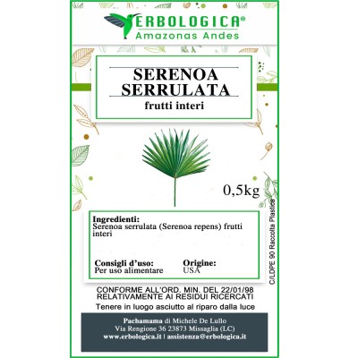 Serenoa serrulata frutti interi