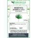 Serenoa serrulata frutti interi Serenoa serrulata frutti interi