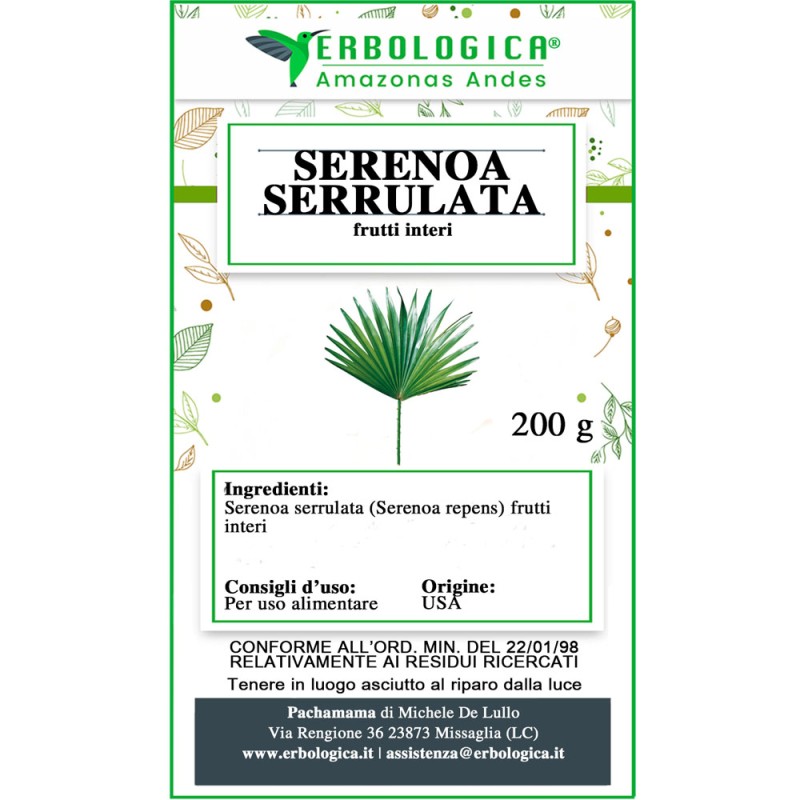 Serenoa serrulata frutti interi Serenoa serrulata frutti interi