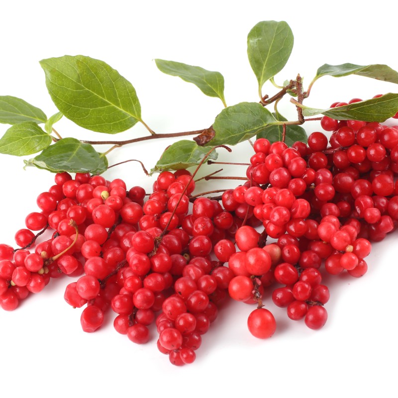 Schisandra frutti interi tisana Schisandra frutti interi tisana