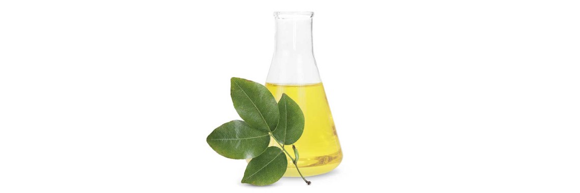 Olio di copaiba e i suoi benefici