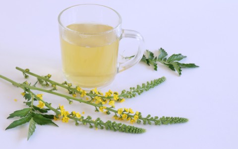 Agrimonia pianta benefici e usi Agrimonia pianta benefici e usi