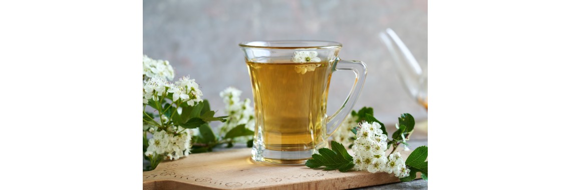 Biancospino tisana e i suoi benefici