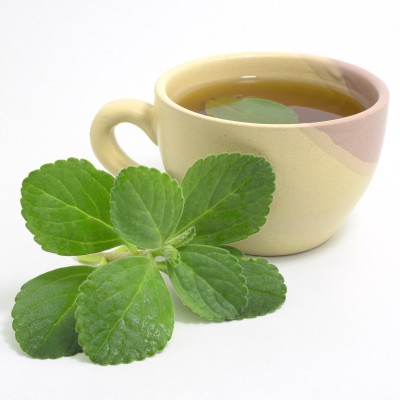 Boldo foglie tisana 