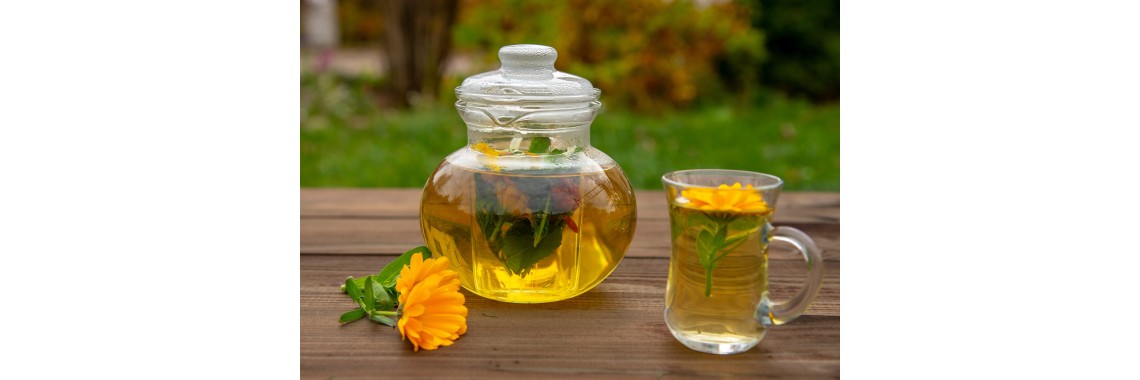 La calendula e le sue proprietà benefiche