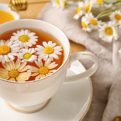 Camomilla fiori tisana 