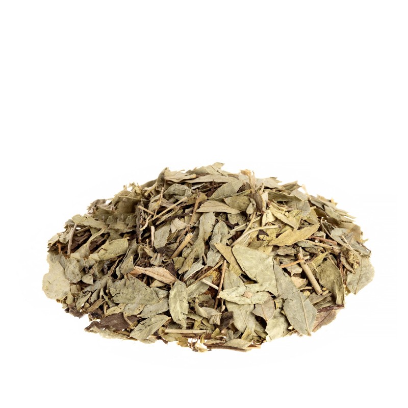 Senna foglie tisana Senna foglie tisana