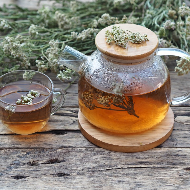 Achillea sommità taglio tisana Achillea sommità taglio tisana