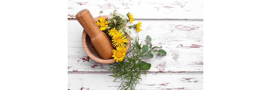L'arnica: tutti i suoi benefici e i suoi usi