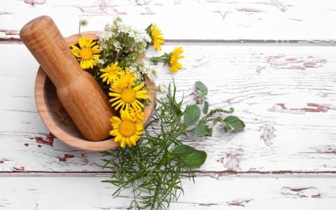 L'arnica: tutti i suoi benefici e i suoi usi L'arnica: tutti i suoi benefici e i suoi usi