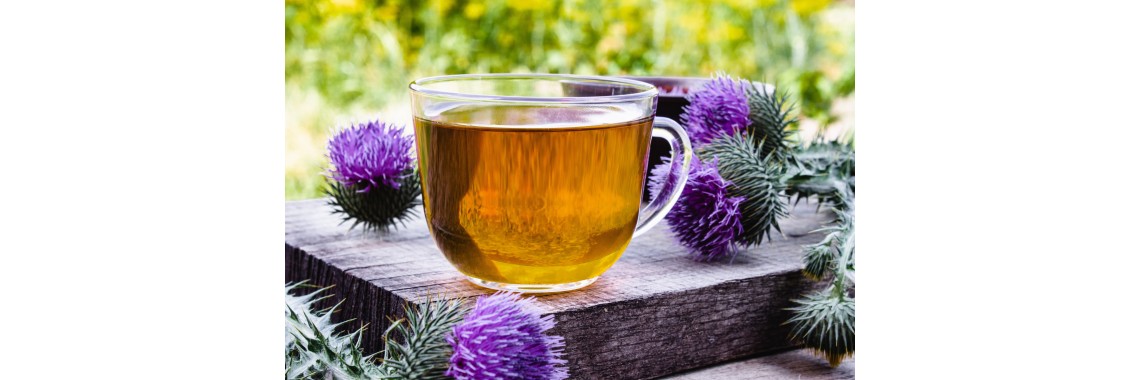 Scopri il tè di cardo mariano: alleato naturale per il tuo fegato