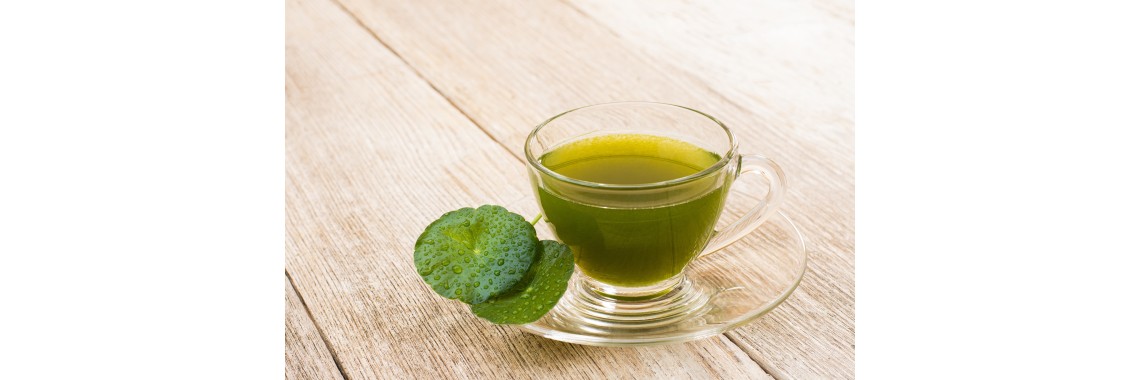 Centella pianta proprietà e usi