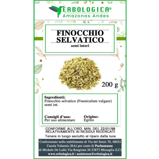 Finocchio semi selvatici tisana Finocchio semi selvatici tisana