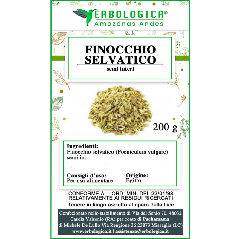 Finocchio semi selvatici tisana Finocchio semi selvatici tisana