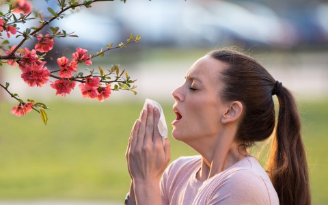 Il Sambuco: il segreto contro la rinite allergica in primavera Il Sambuco: il segreto contro la rinite allergica in primavera