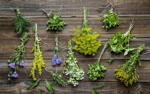 10 tisane alle erbe che aiutano a eliminare le tossine e migliorare la salute 10 tisane alle erbe che aiutano a eliminare le tossine e migliorare la salute