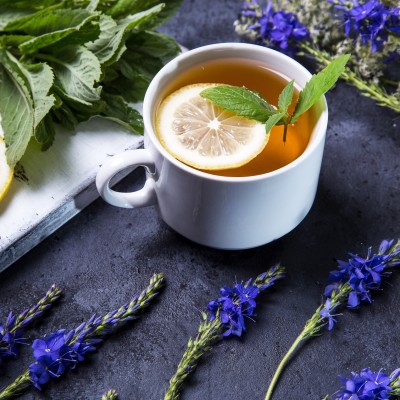 Veronica officinale tisana Veronica officinale tisana