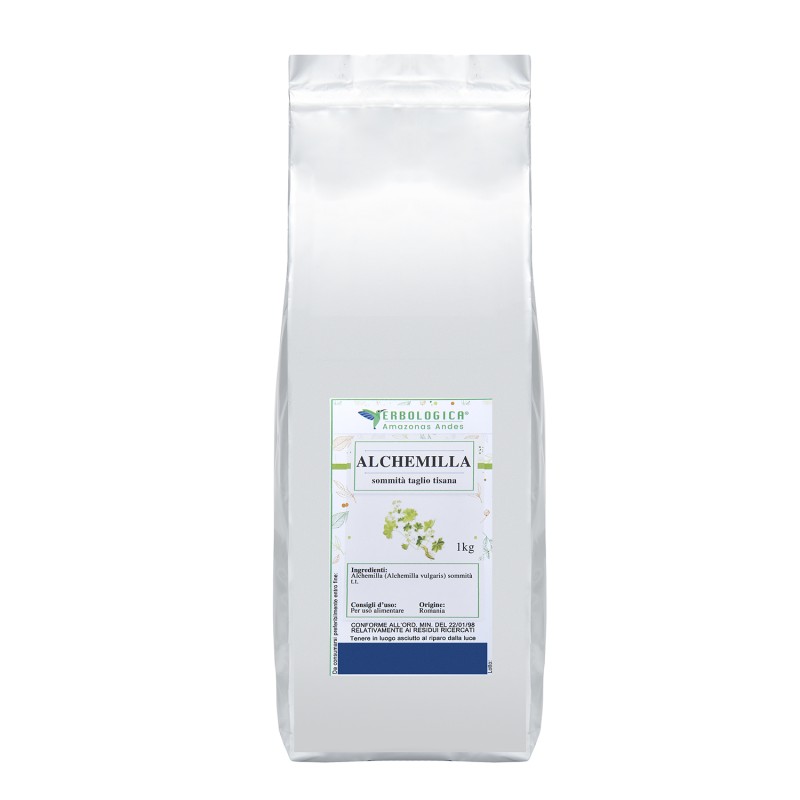 Alchemilla tisana Alchemilla tisana