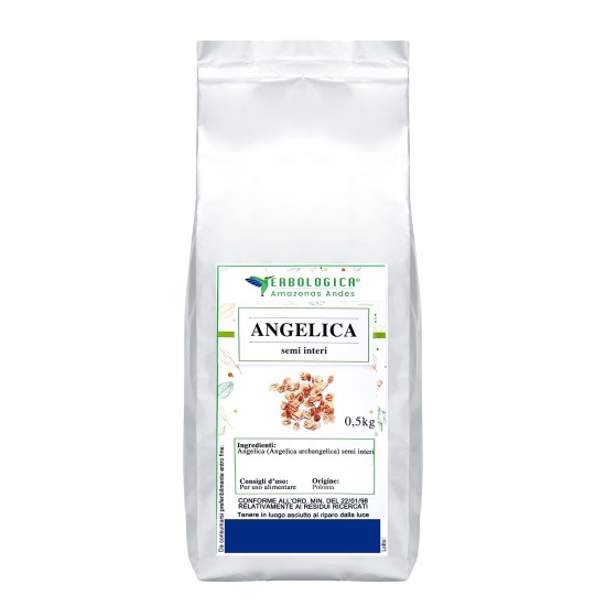 Angelica semi interi tisana Angelica semi interi tisana