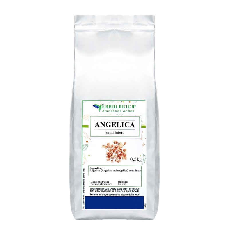 Angelica semi interi tisana Angelica semi interi tisana
