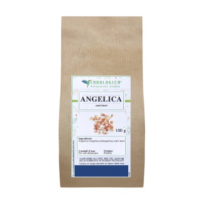Angelica semi interi tisana Angelica semi interi tisana
