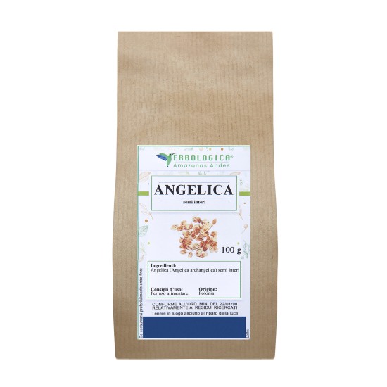 Angelica semi interi tisana Angelica semi interi tisana