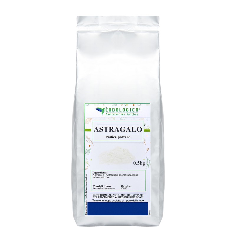 Astragalo radice polvere Astragalo radice polvere
