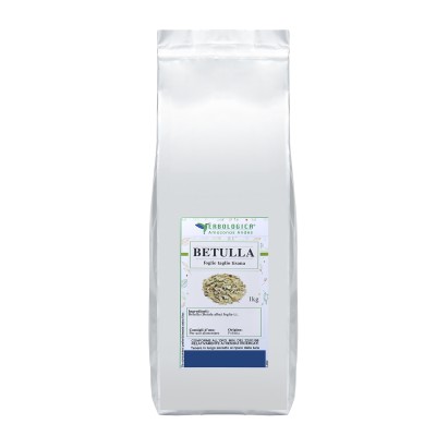 Betulla foglie tisana 