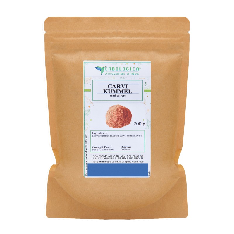 Carvi Kummel semi in polvere