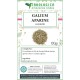Galium aparine sommità tisana Galium aparine sommità tisana
