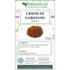 Garofano chiodi polvere Garofano chiodi polvere