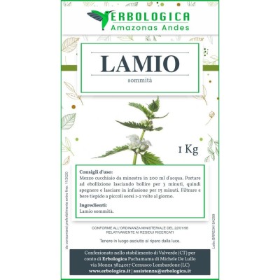 Lamio bianco tisana Lamio bianco tisana