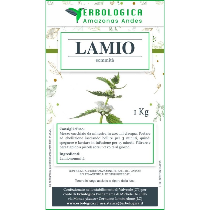Lamio bianco tisana Lamio bianco tisana