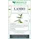 Lamio bianco tisana Lamio bianco tisana