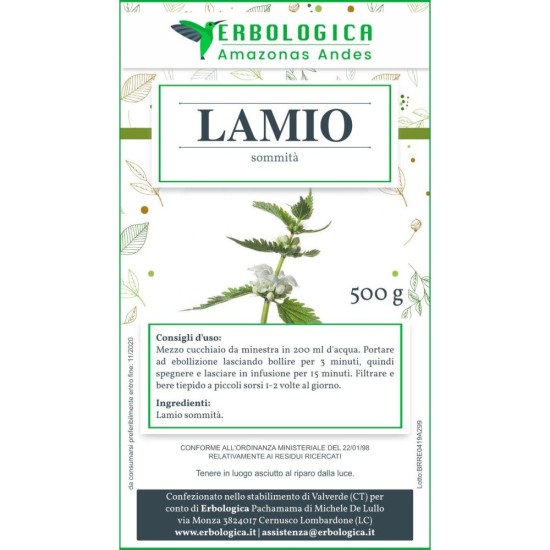 Lamio bianco tisana Lamio bianco tisana