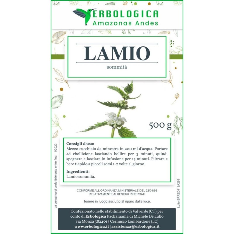 Lamio bianco tisana Lamio bianco tisana