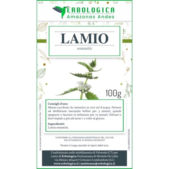Lamio bianco tisana Lamio bianco tisana
